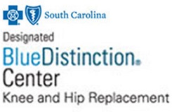 The Blue Distinction Center Plus for Knee and Hip Replacement logo from BlueCross BlueShield of South Carolina.